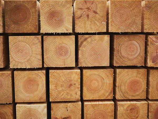Timber Treatment